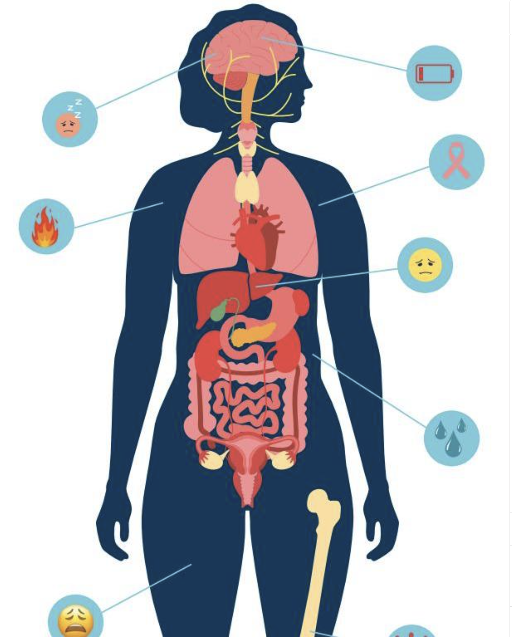 Woman's body